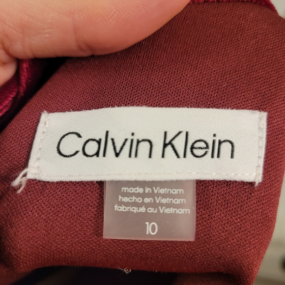 Calvin Klein Rich Burgundy Velvet Dress - Picture 7 of 7